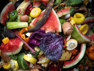 Colorful Compost Bin in New York