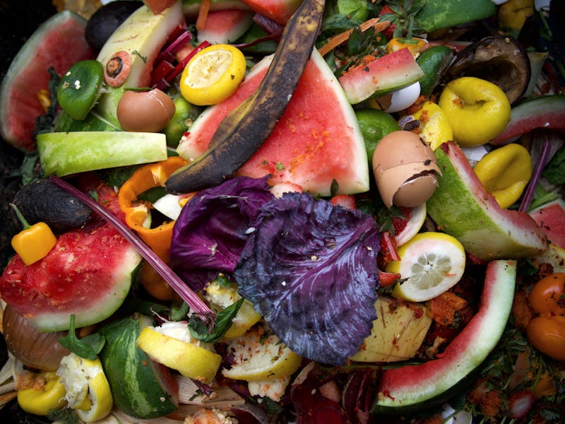 Colorful Compost Bin in New York