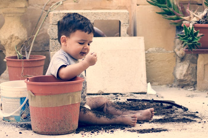 Your kid would have to eat *a lot* of dirt to get seriously sick, experts say.