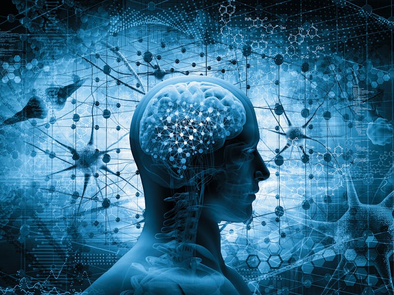 brain, thinking concept; 3d illustration