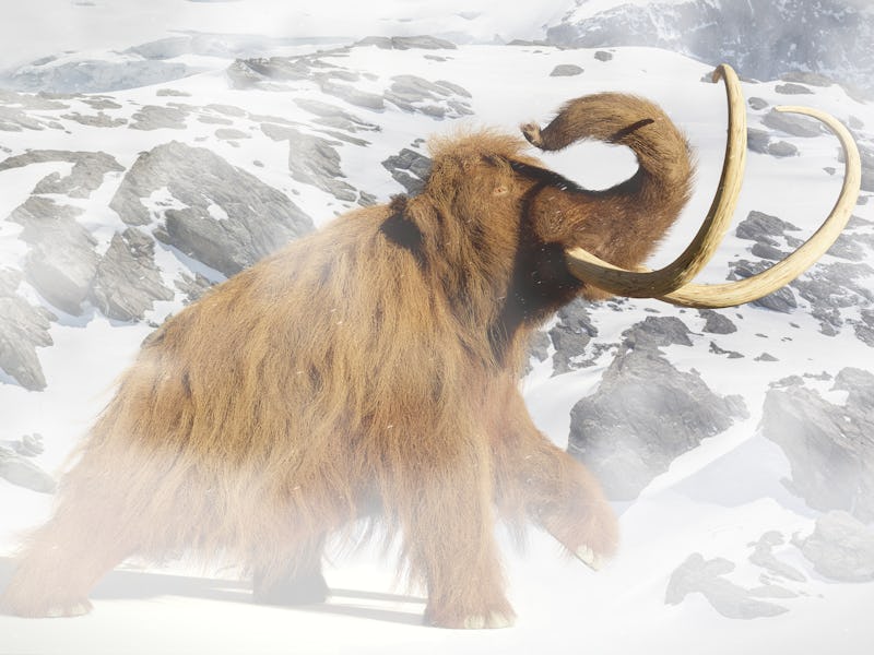woolly mammoth, prehistoric mammal in ice age landscape (3d illustration)