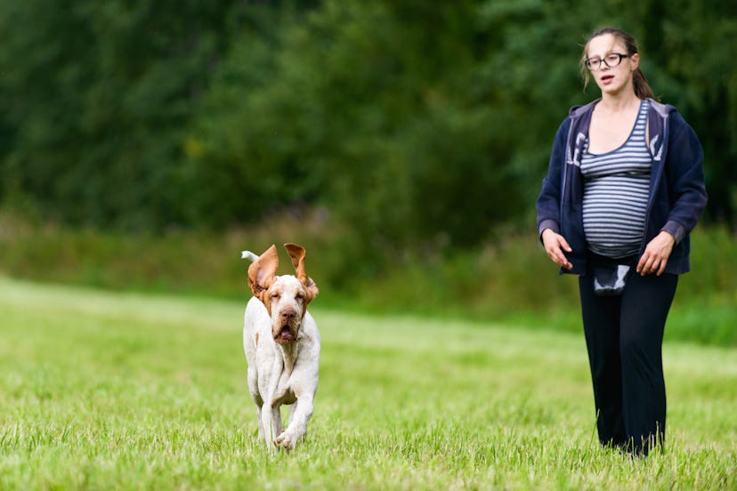 Taking a dog for walk while trying to speed up labor can work, experts say, but you'll want to consi...