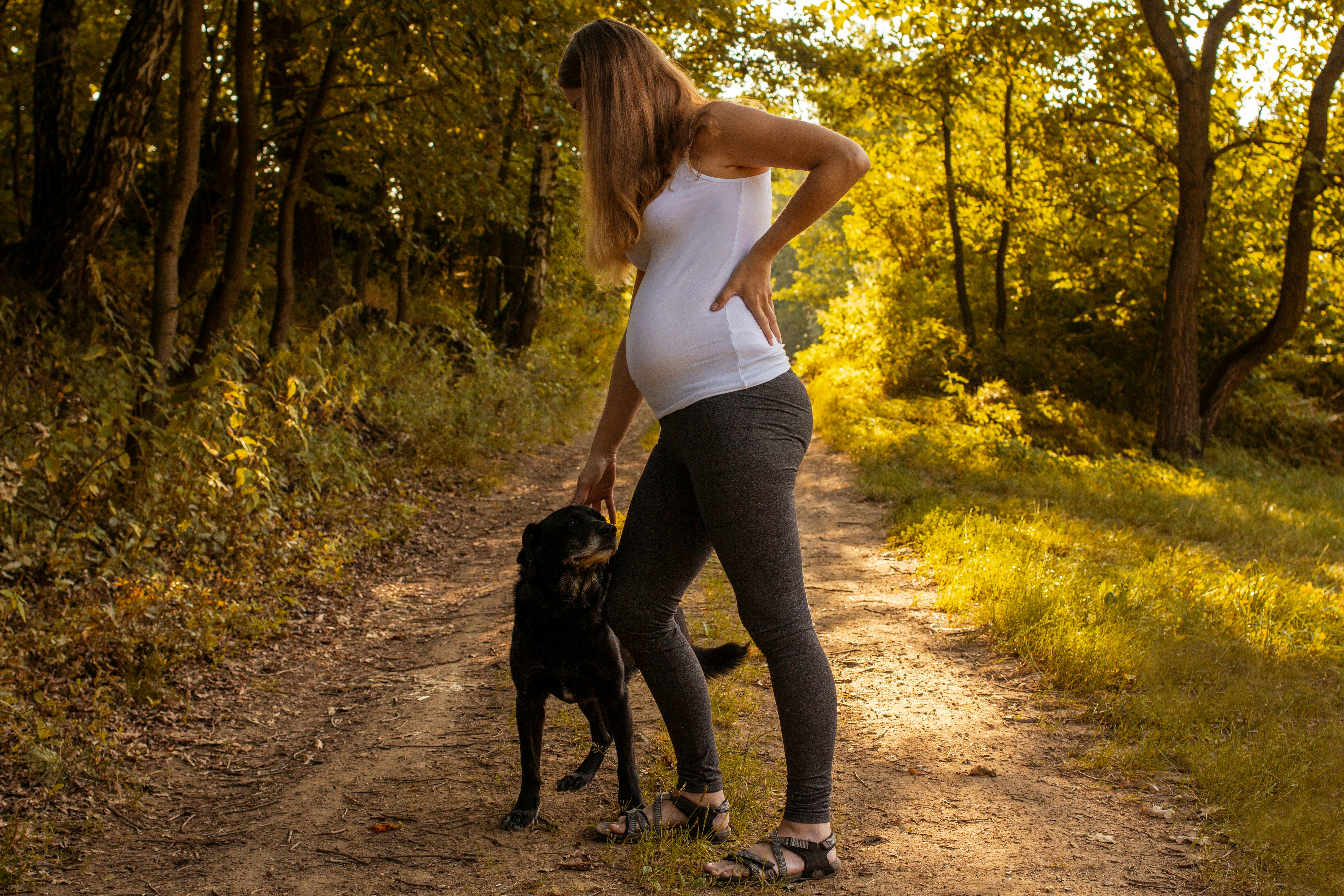 Walking a best sale pregnant dog