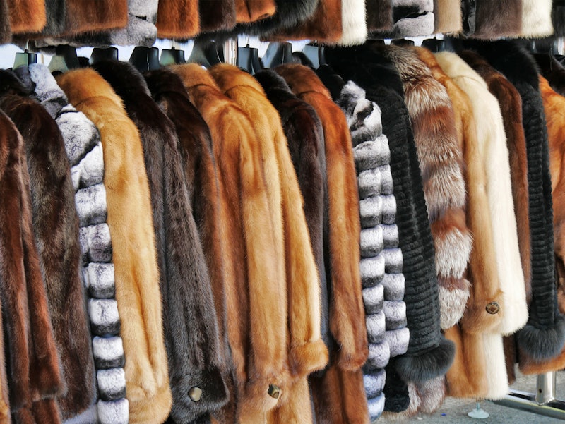 Is Faux Fur Bad For The Environment?
