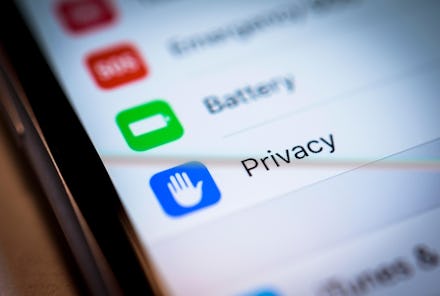 Privacy Settings displayed on an iPhone, iOS, smartphone, display, close-up, detail, Germany