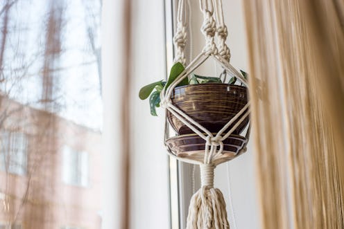 Handmade macrame for flowers in the interior of the concept