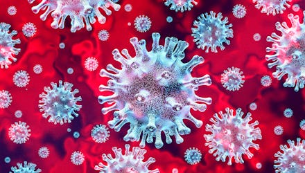 virus outbreak health