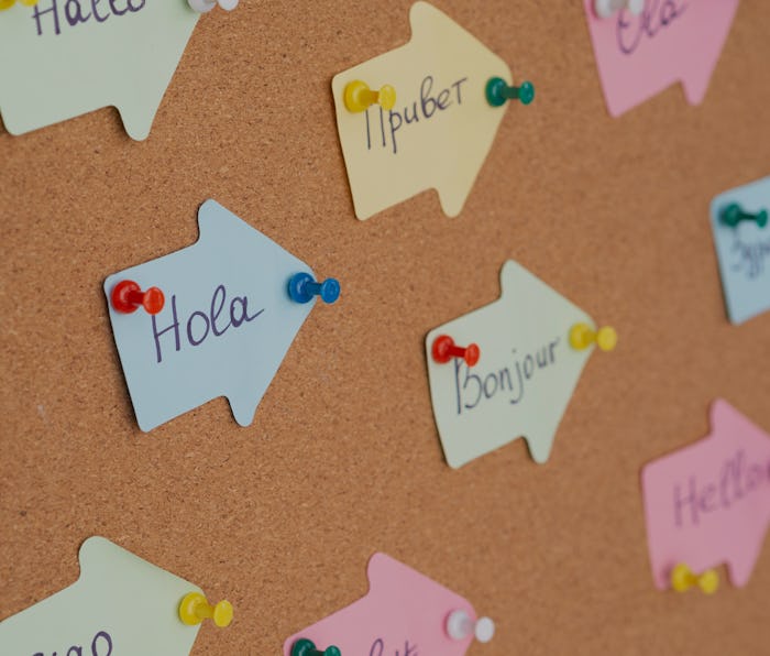 Learning Foreign Language concept. Handwritten Flashcards with Hello in other languages pinned on a ...