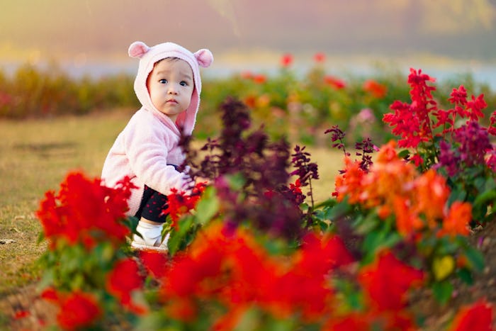  Baby girl in spring Flower Garden      