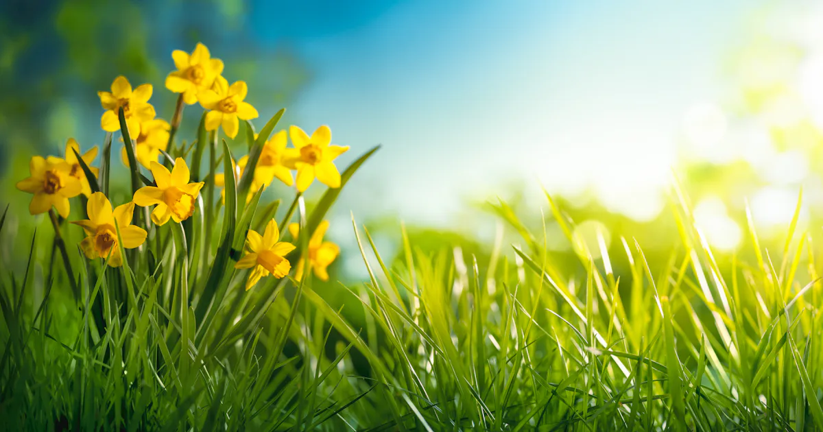 Spring equinox: Why Spring 2020 is the earliest in over 100 years