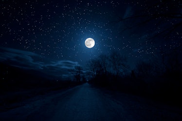 Mountain Road through the forest on a full moon night. Scenic night landscape of country road at nig...