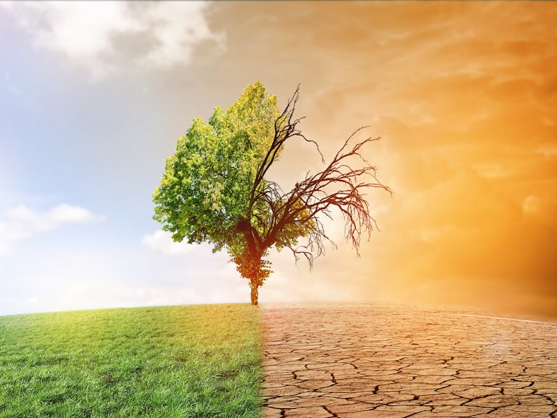 climate change dying earth