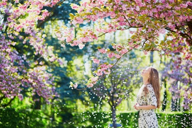 A woman wearing a white and black dress admires the cherry blossoms outside on a spring day. 