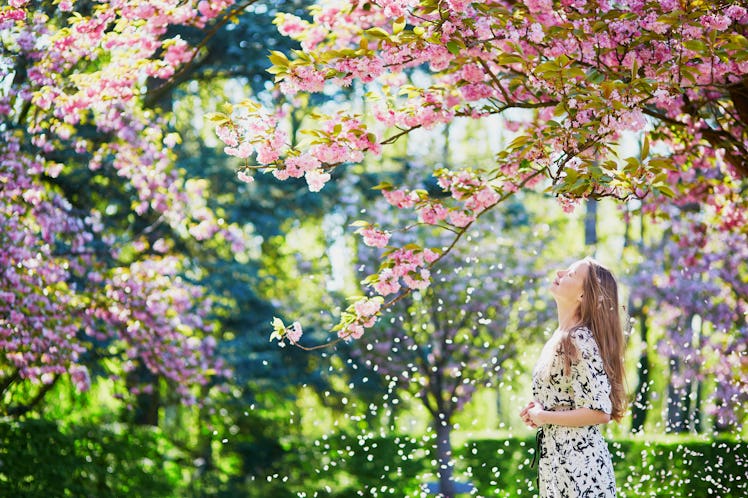A woman wearing a white and black dress admires the cherry blossoms outside on a spring day.