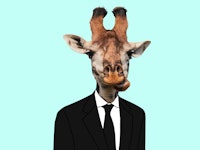Funny Art collage. Giraffe wearing suit.