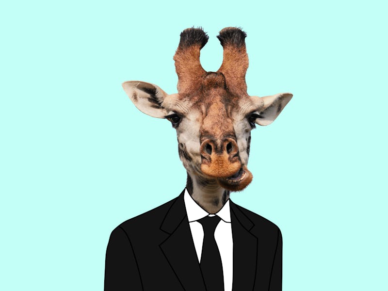 Funny Art collage. Giraffe wearing suit.