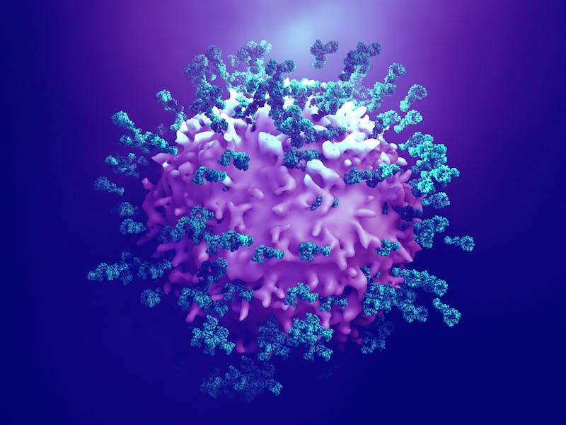 Antibodies attack a cancer cell or virus 3d illustration