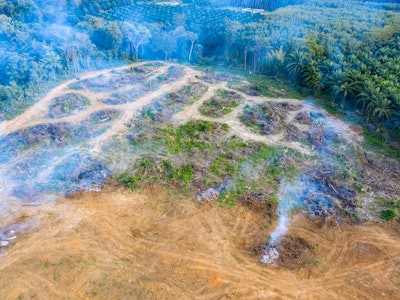 Aerial view of deforestation.  Rainforest being removed to make way for palm oil and rubber plantati...