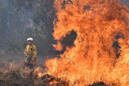 A New South Wales Rural Fire Service (NSW RFS) firefighters back burning on Long Gully Road in the n...