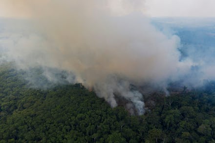 Smoke rises from a fire in the Amazon rainforest near route BR-163 and the Trans-Amazon highway in R...