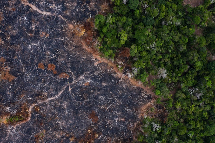 A burned area of the Amazon rainforest is seen in Prainha, Para state, Brazil. Official data show Am...