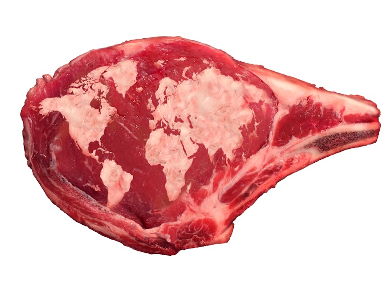 Global meat industry and world beef production food concept as a raw red rib steak with the animal f...