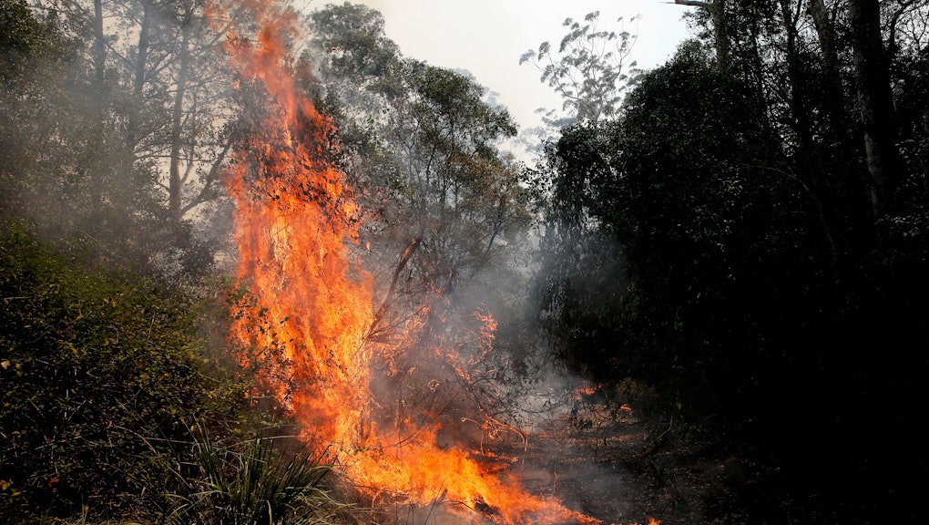 How climate change made Australia’s bushfires worse