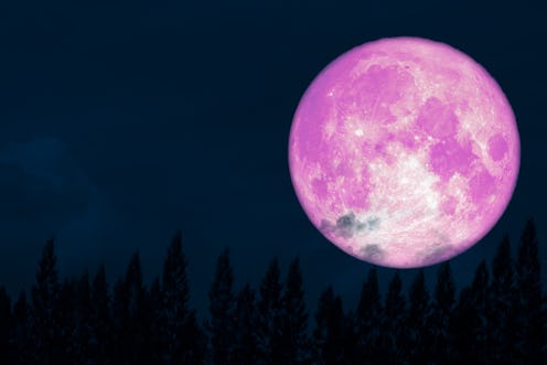 How The April 2020 Full Moon Will Affect You, Based On Your Zodiac Sign