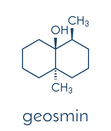 Geosmin earthy flavor molecule. Responsible for the typical taste of beetroot. Skeletal formula.