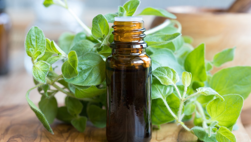 The benefits of oregano oil: what it can and can't do, according to experts