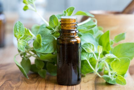 A bottle of oregano essential oil with fresh oregano leaves in the background
