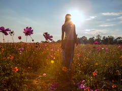 Portrait of beautiful asian woman in the field on sunset