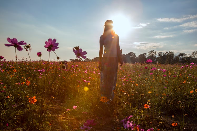 Portrait of beautiful asian woman in the field on sunset