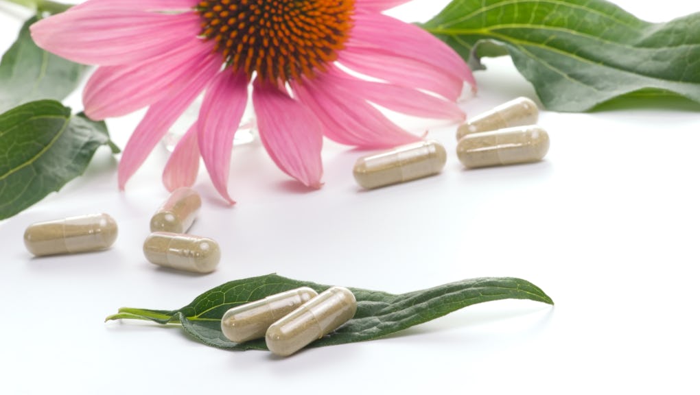 Can Echinacea Really Help You Prevent Covid 19 Can Echinacea Really Help You Prevent Covid 19