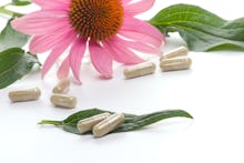 Closeup of Echinacea extract pills and fresh Echinacea flower leaves best suited for alternative med...