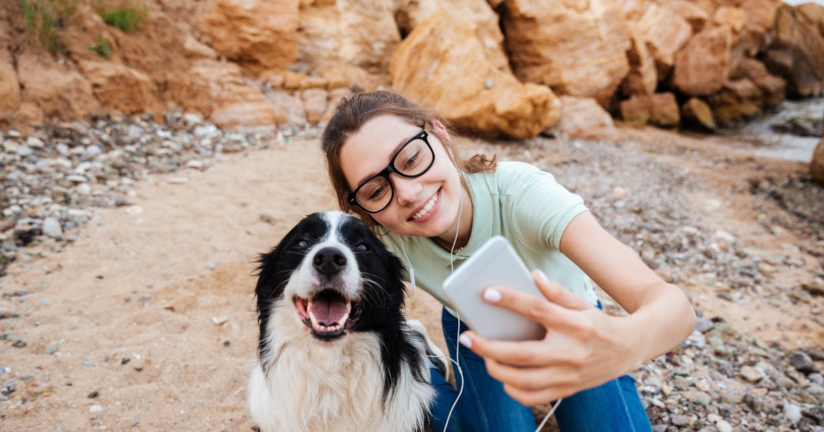 10 Best Pet Tiktok Challenges That Deserve A Round Of Appaws 10 Best Pet Tiktok Challenges That Deserve A Round Of Appaws