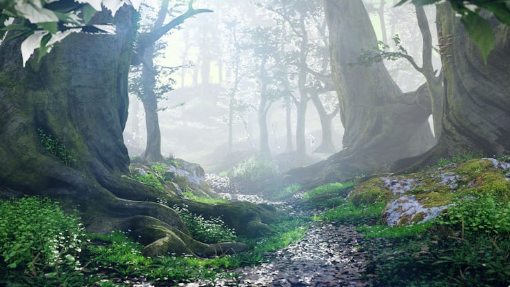 path through magical forest at sunrise, mysterious old trees, fantasy landscape, 3d rendering