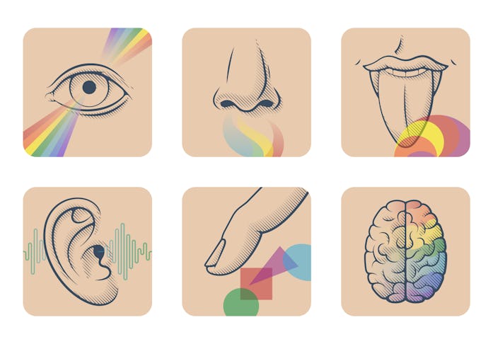Set of five human senses: sight, smell, taste, hearing and touch. Six anatomical images: nose, tongu...