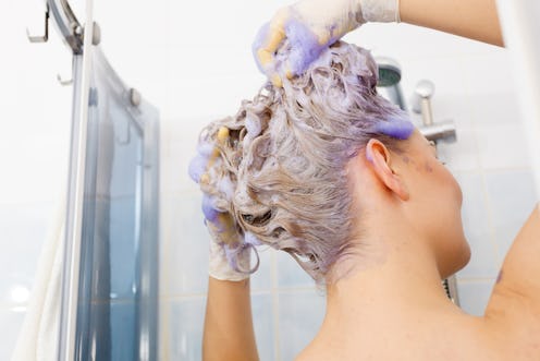 Woman applying coloring shampoo on her hair. Female having purple washing product. Toning blonde col...