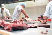 group of butchers works in a slaughterhouse and cuts freshly slaughtered meat (beef and pork) for sa...