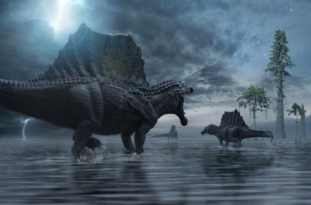 Spinosaurus group moving to a new hunting ground.