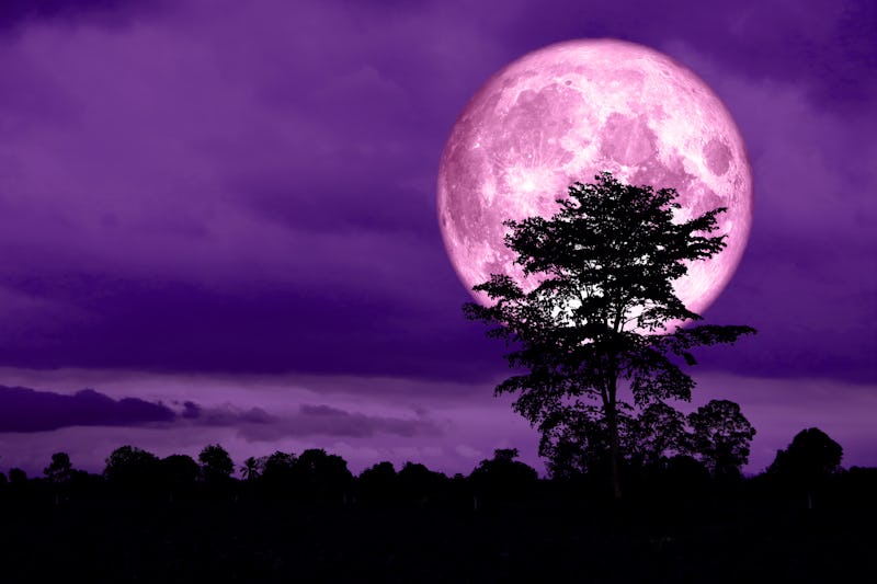 4 Zodiac Signs April's Full Pink Supermoon Will Affect The Most