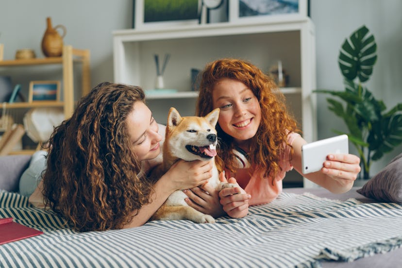 Siblings beautiful girls are taking selfie with cute puppy lying on couch at home using smartphone c...