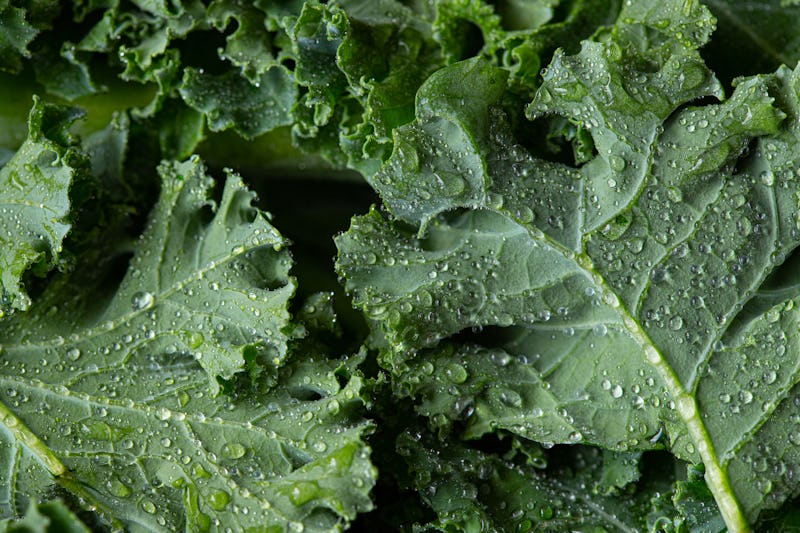 Close up of kale leaves.