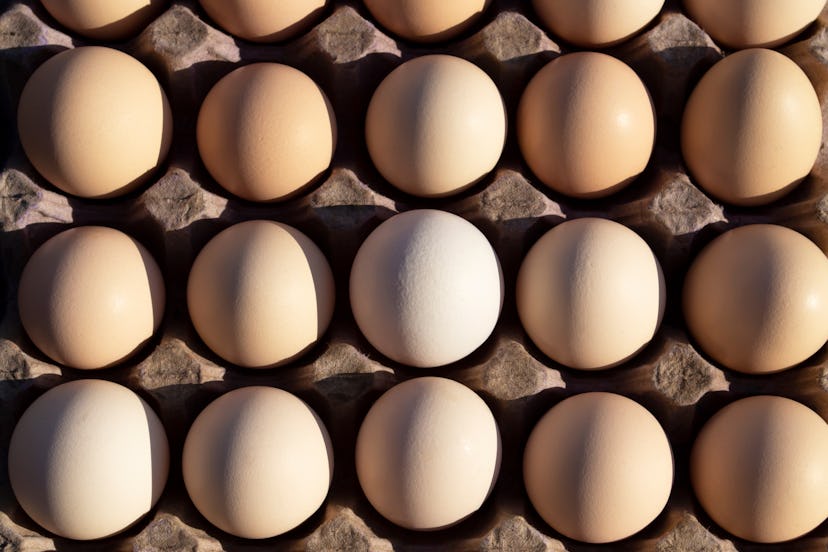 Flat lay Close-up view of raw chicken eggs in egg paper box.Overhead view of brown chicken eggs in a...