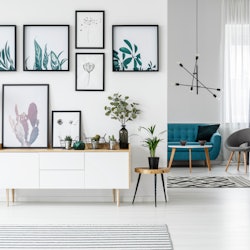 White living room interior with botanical posters on the wall and sofa in the background