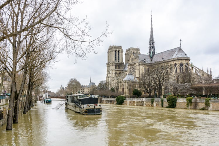 View of the swollen Seine at the foot of Notre-Dame de Paris cathedral, during the winter flooding e...