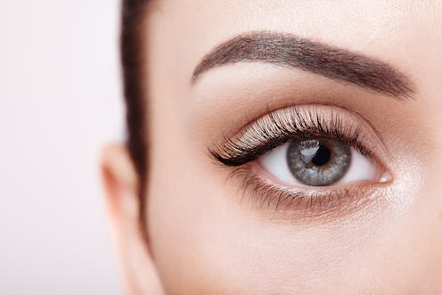 Female Eye with Extreme Long False Eyelashes. Eyelash Extensions. Makeup, Cosmetics, Beauty. Close u...