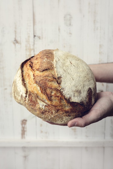 Baked bread of sourdough in hands - The bread of sourdough, homemade and natural creation. The sourd...