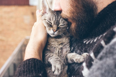 Close-up of beard man in icelandic sweater who is holding and kissing his cute purring Devon Rex cat...